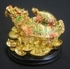 Chinese Dragon Turtles