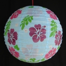 2 of Light Blue Paper Lanterns with Flower Pictures