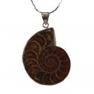 Ammonite Gemstone Pendant