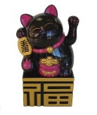 Black Money Cat on Fu